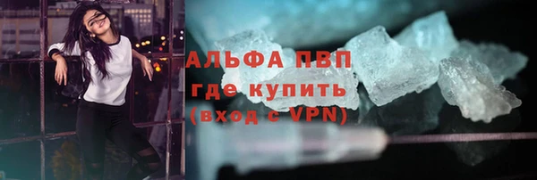 индика Верея