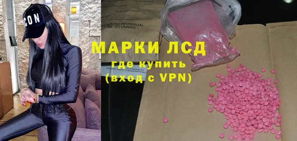 индика Верея