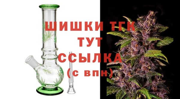 индика Верея